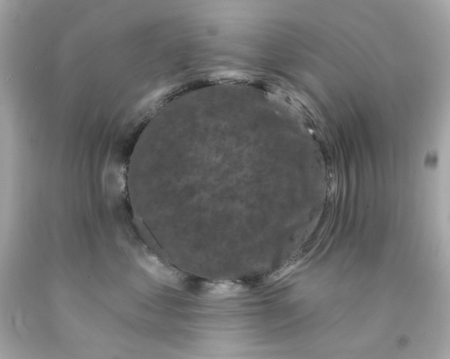 X0000093140621200710241343