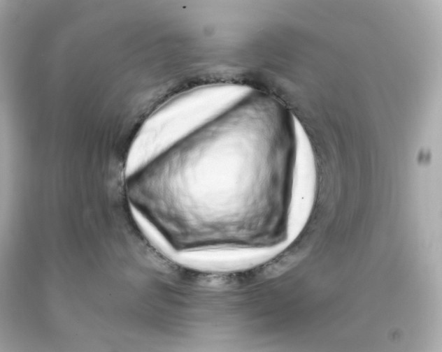 X0000093140624200710241343