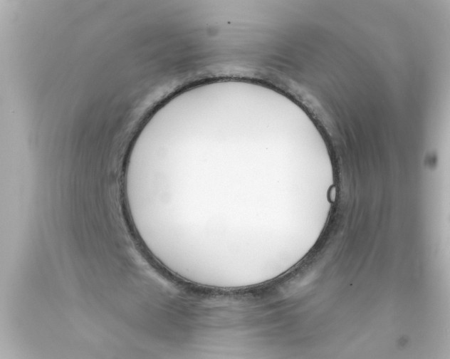 X0000093140625200710241343