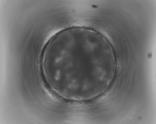 X0000093140626200710241343