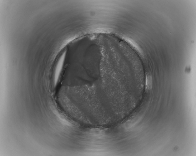 X0000093140627200710241343