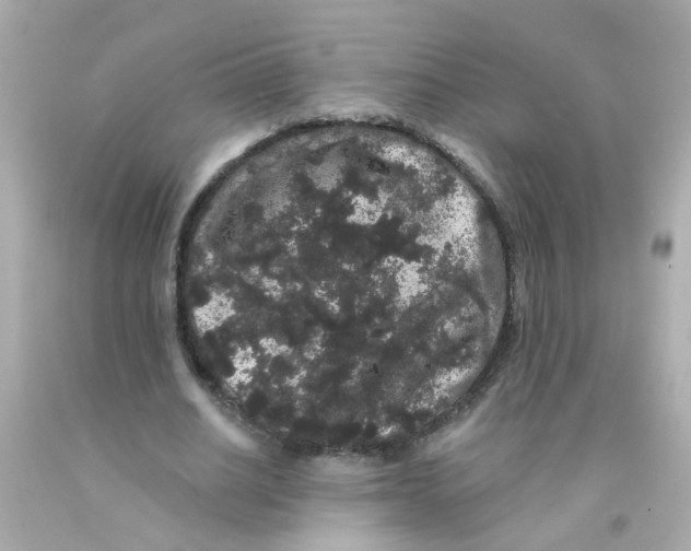 X0000093140630200710241343