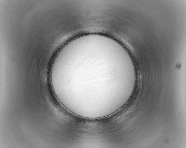 X0000093140631200710241343