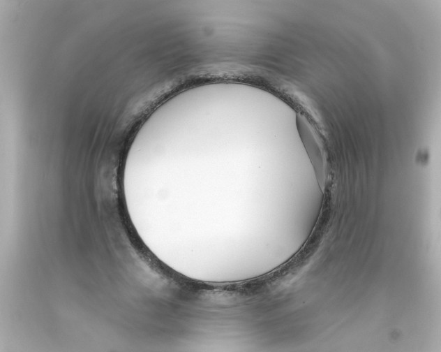 X0000093140633200710241343