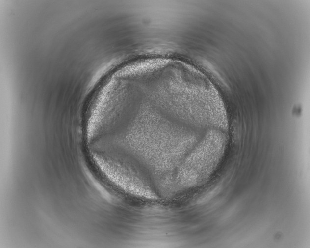 X0000093140634200710241343