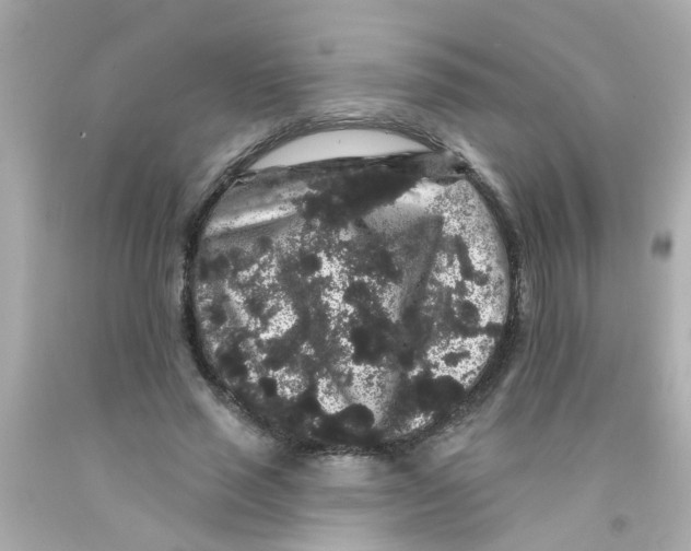 X0000093140637200710241343