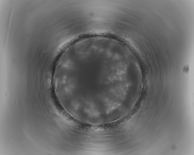 X0000093140640200710241343