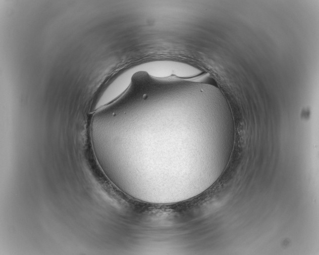 X0000093140642200710241343