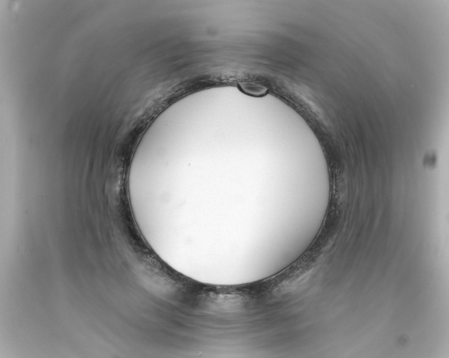 X0000093140645200710241343