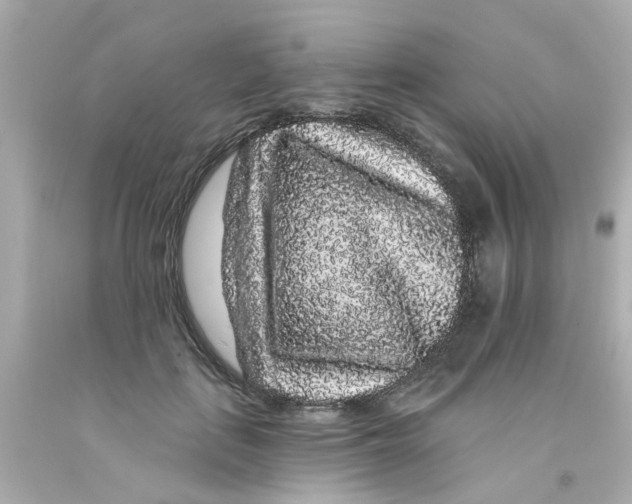 X0000093140651200710241343