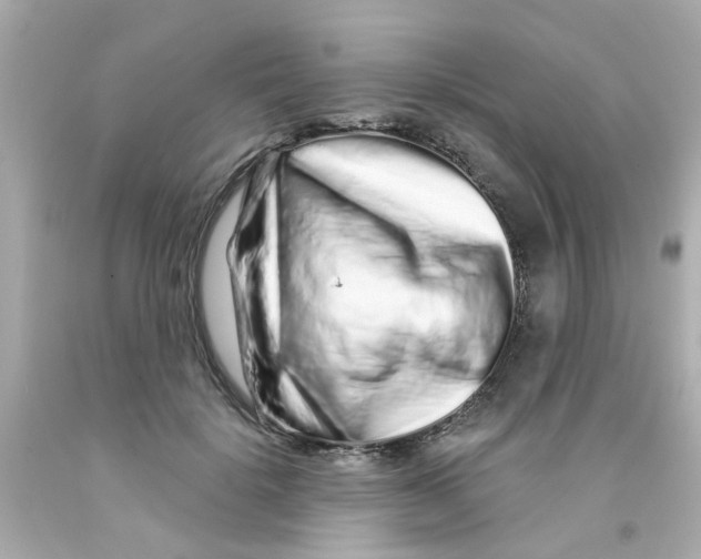 X0000093140652200710241343