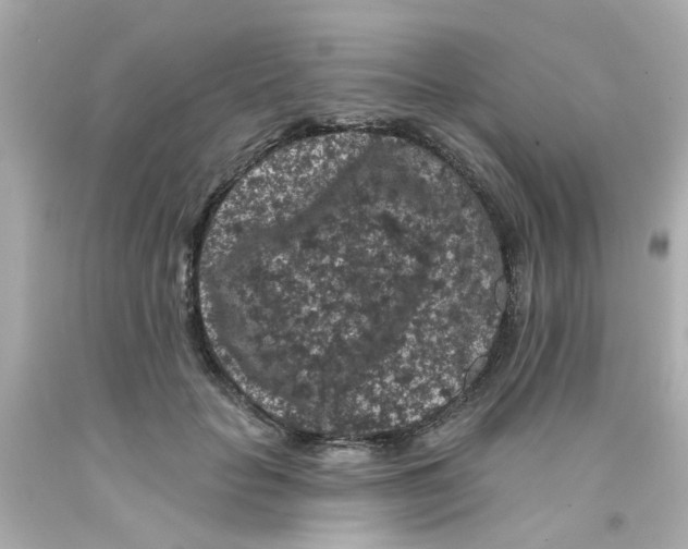 X0000093140653200710241343