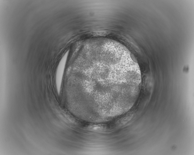 X0000093140655200710241343