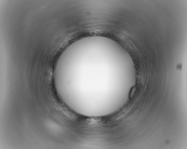 X0000093140660200710241343