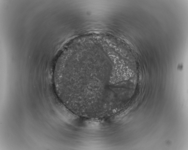 X0000093140661200710241343