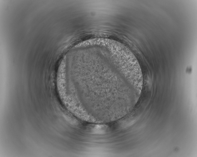 X0000093140663200710241343