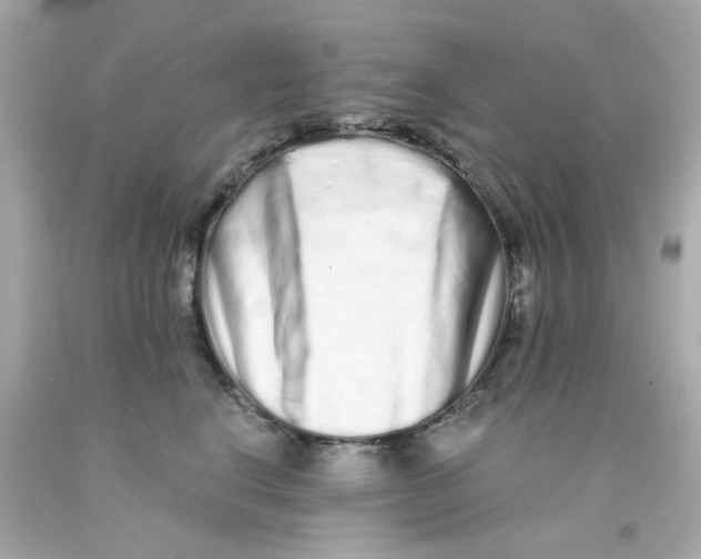 X0000093140664200710241343