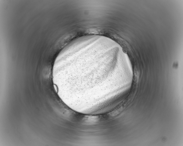 X0000093140665200710241343