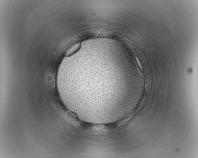 X0000093140666200710241343