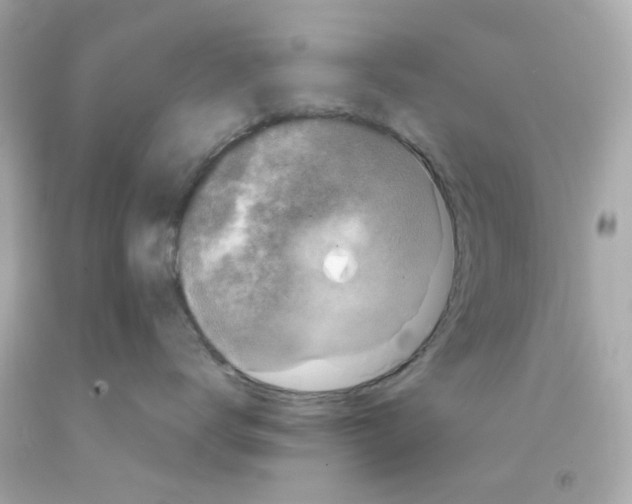 X0000093140672200710241343