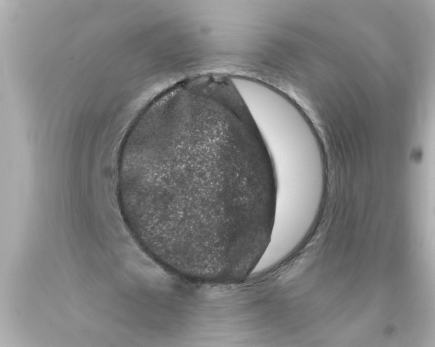 X0000093140673200710241343