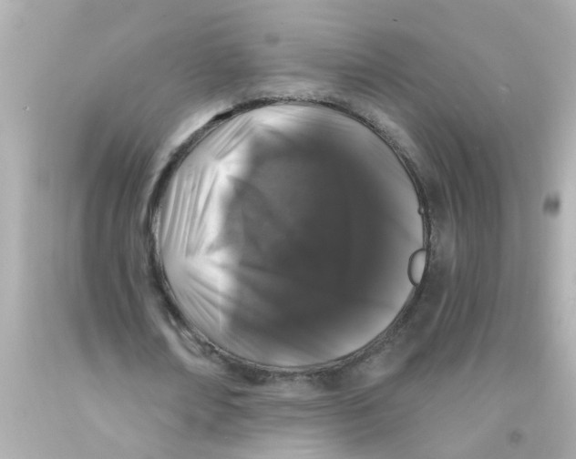 X0000093140674200710241343