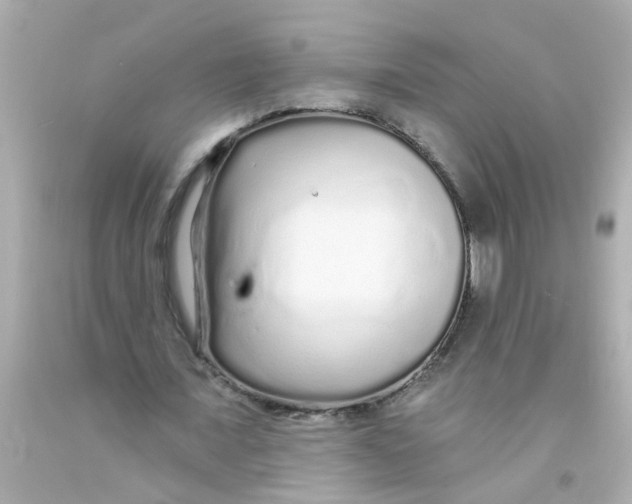 X0000093140675200710241343