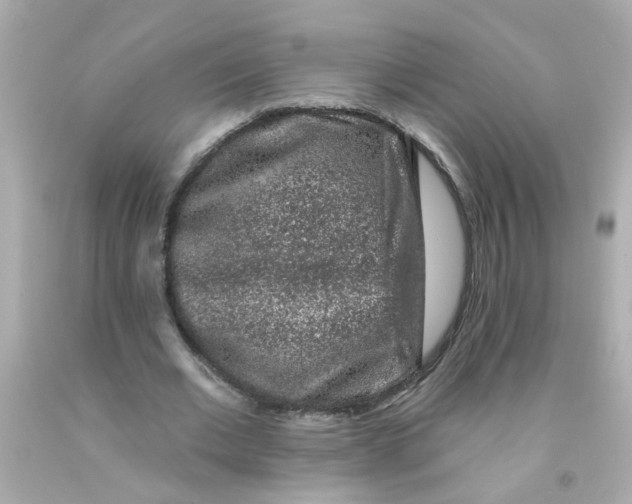 X0000093140677200710241343