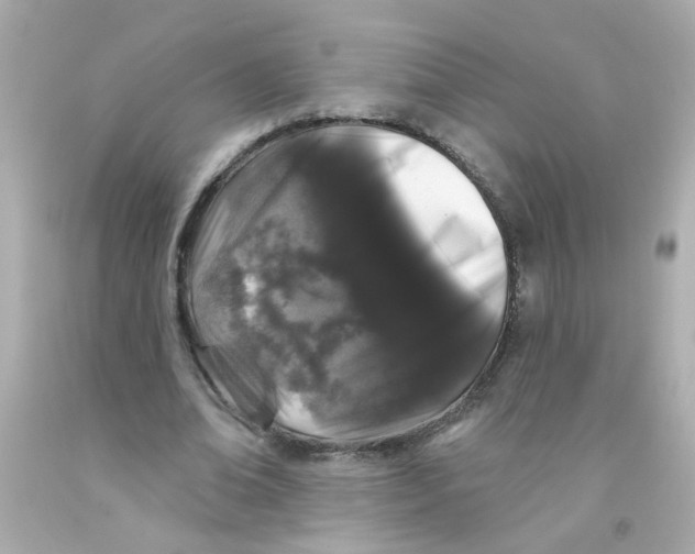 X0000093140678200710241343