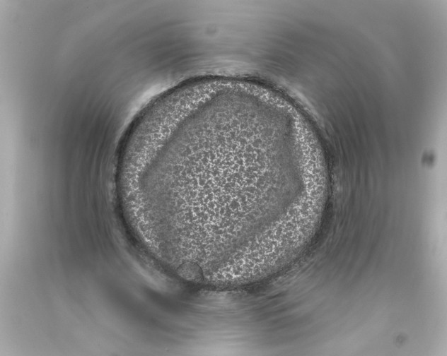 X0000093140679200710241343