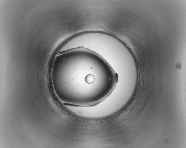 X0000093140680200710241343