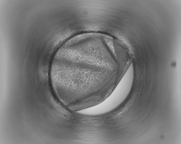 X0000093140681200710241343