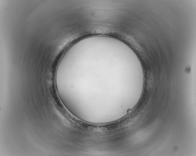 X0000093140683200710241343