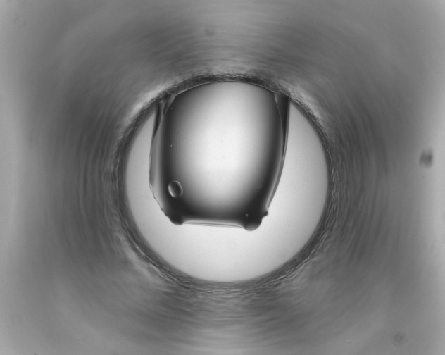 X0000093140684200710241343