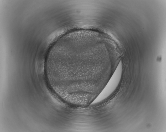 X0000093140685200710241343