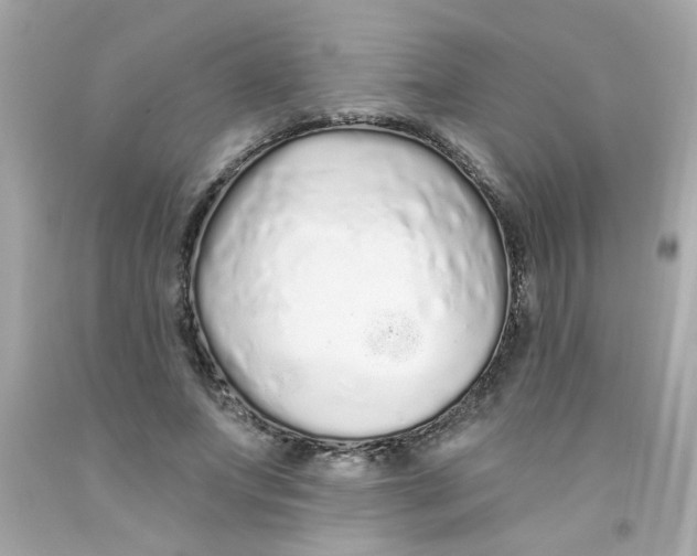 X0000093140687200710241343