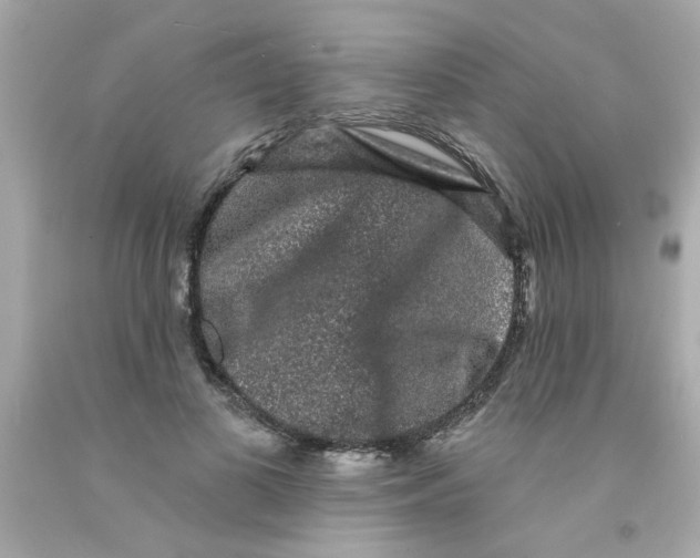 X0000093140693200710241343