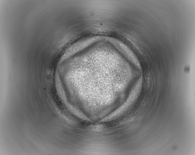 X0000093140695200710241343