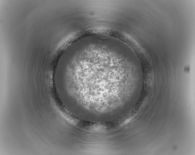 X0000093140696200710241343