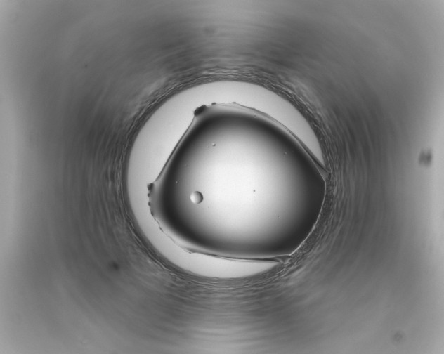 X0000093140697200710241343