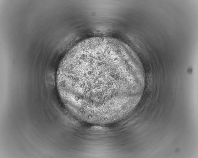 X0000093140699200710241343