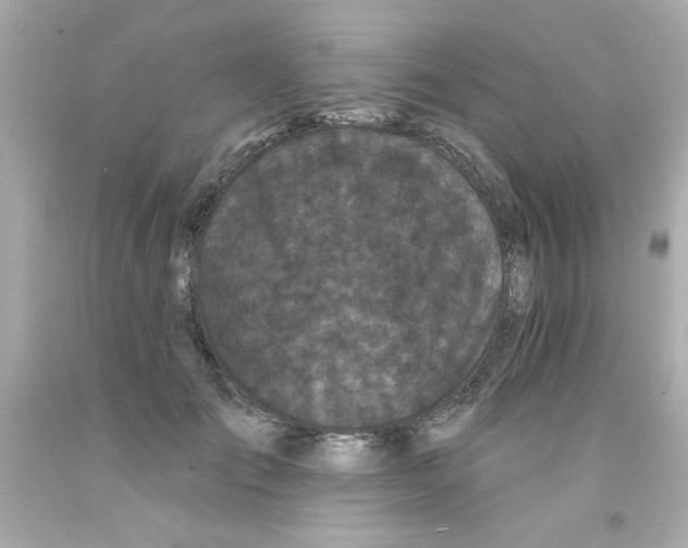 X0000093140701200710241343