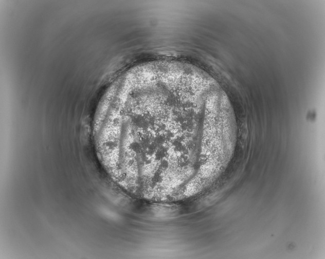 X0000093140707200710241342