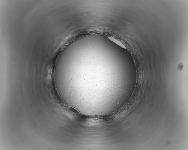 X0000093140708200710241342