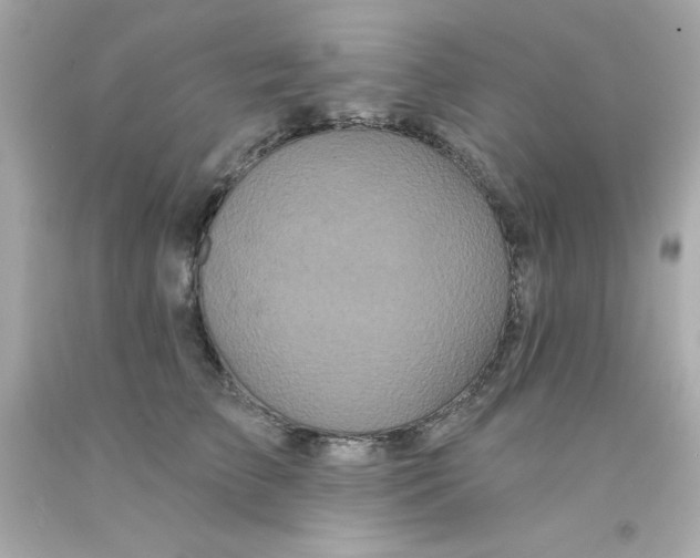 X0000093140709200710241342