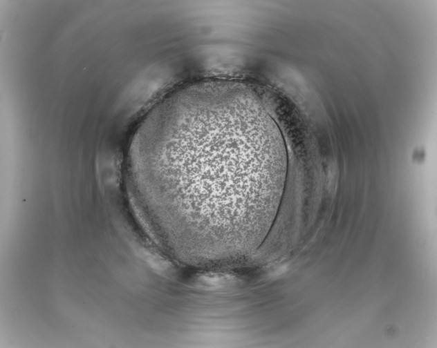 X0000093140712200710241342