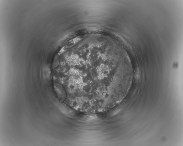 X0000093140715200710241342