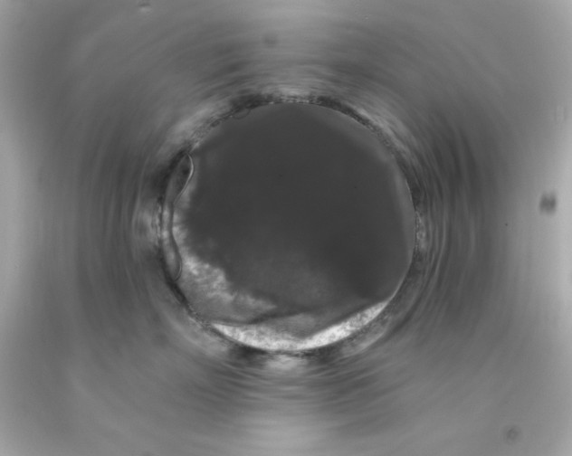 X0000093140718200710241342