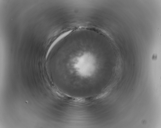 X0000093140720200710241342