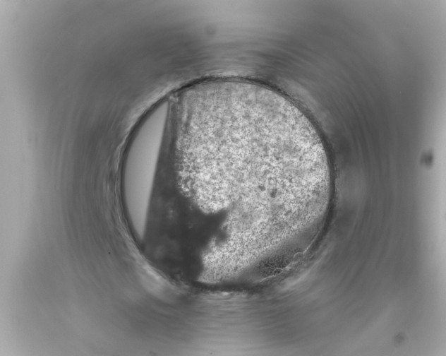 X0000093140721200710241342